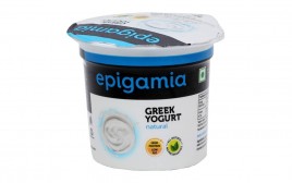 Epigamia Green Yogurt Natural   90 grams